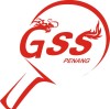 Global Sports Solution - логотип клуба