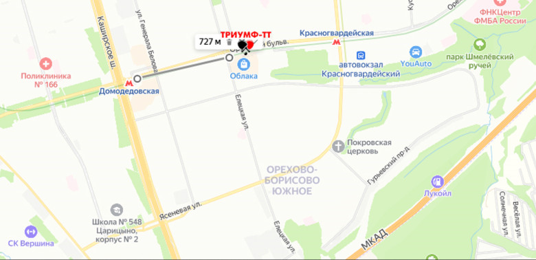 🏆ТРИУМФ-ТТ 