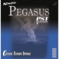 Pegasus-C PST