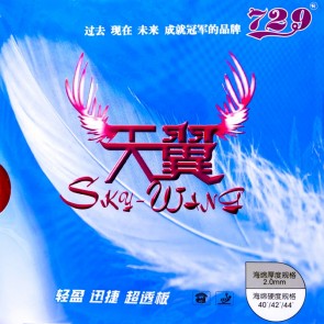 Friendship Sky Wing