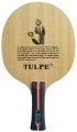 Tulpe T-Carbon