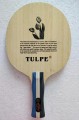 Tulpe 701