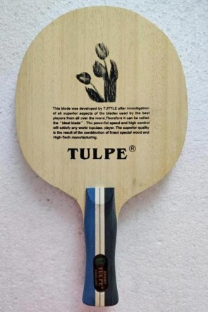 Kokutaku Tulpe 701