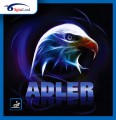 Adler