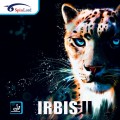 Irbis II