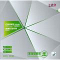 729 Cross Green