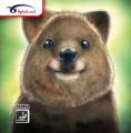 Quokka