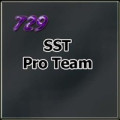 SST Pro Team