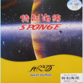 Special Sponge
