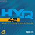 HY-Q 42