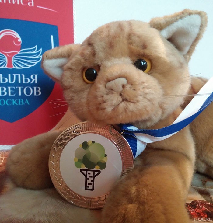 Медаль за второе место Кубка RTTF Лига 250 - настольный теннис фото