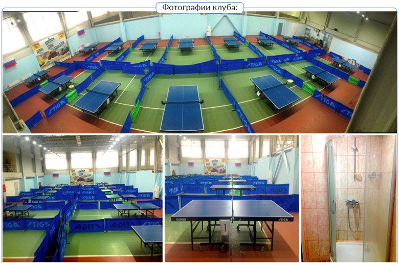 ПингВинКлуб в Екатеринбурге - настольный теннис фото