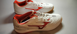 Mizuno Wave Drawe 9