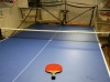 Теннис robo-pong donic робо-понг 2050  в идеальном состоянии - как новая