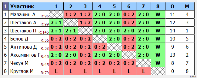 результаты турнира Новичок