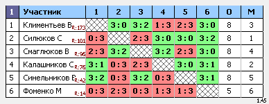результаты турнира Мытищи