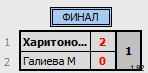 результаты турнира Открытый турнир ВГСПУ (суббота)