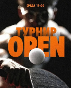 Турнир OPEN
