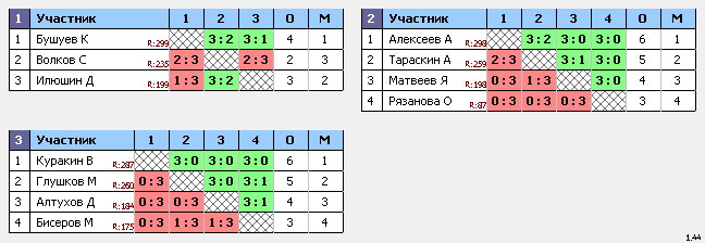 результаты турнира Макс-300