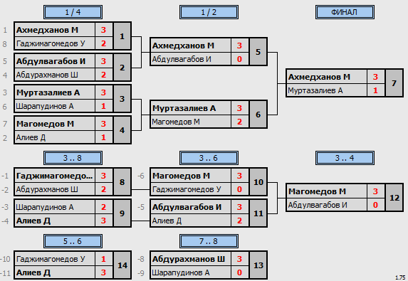 результаты турнира 