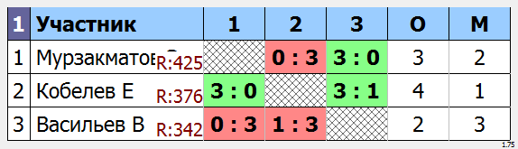 результаты турнира Мытищи-430