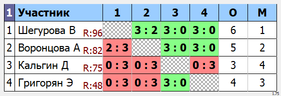 результаты турнира  МАСК - 100