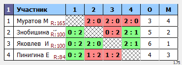 результаты турнира Турнир среди новичков