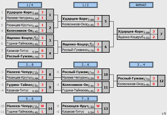 результаты турнира Турнир памяти А. Крутикова. Смешанный парный разряд